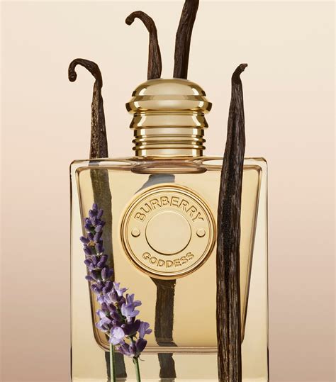 burberry femme perfume|where to buy burberry perfume.